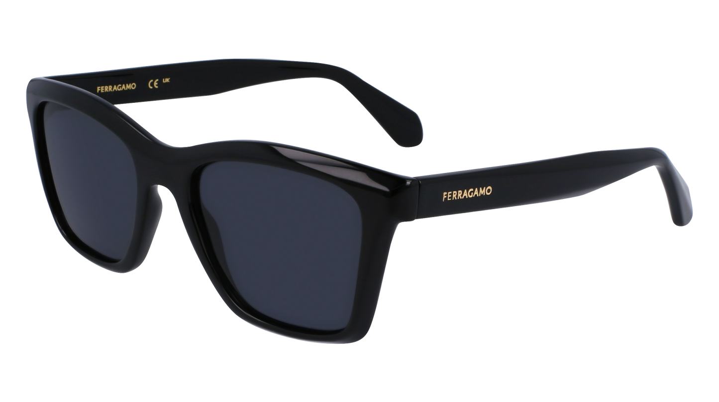 FERRAGAMO Sunglasses SF2001S 1 54