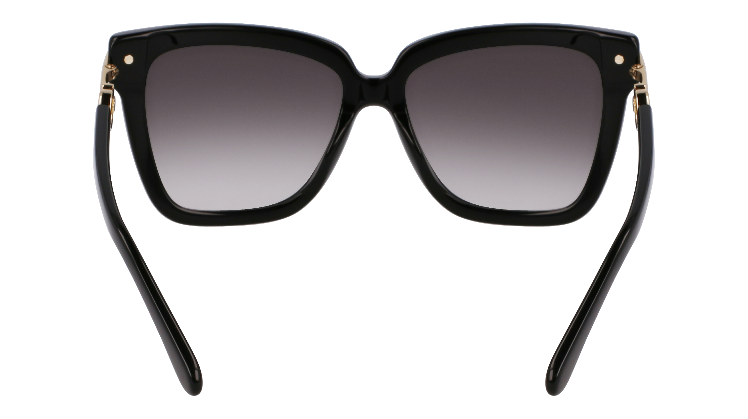 FERRAGAMO Sunglasses SF1085SN 11 57