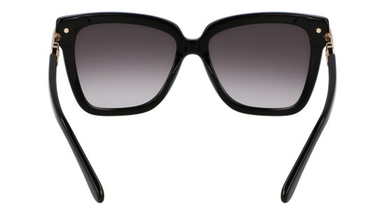 FERRAGAMO Sunglasses SF1085SN 11 57