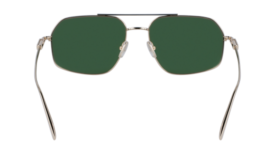 FERRAGAMO Sunglasses SF313S 746 58