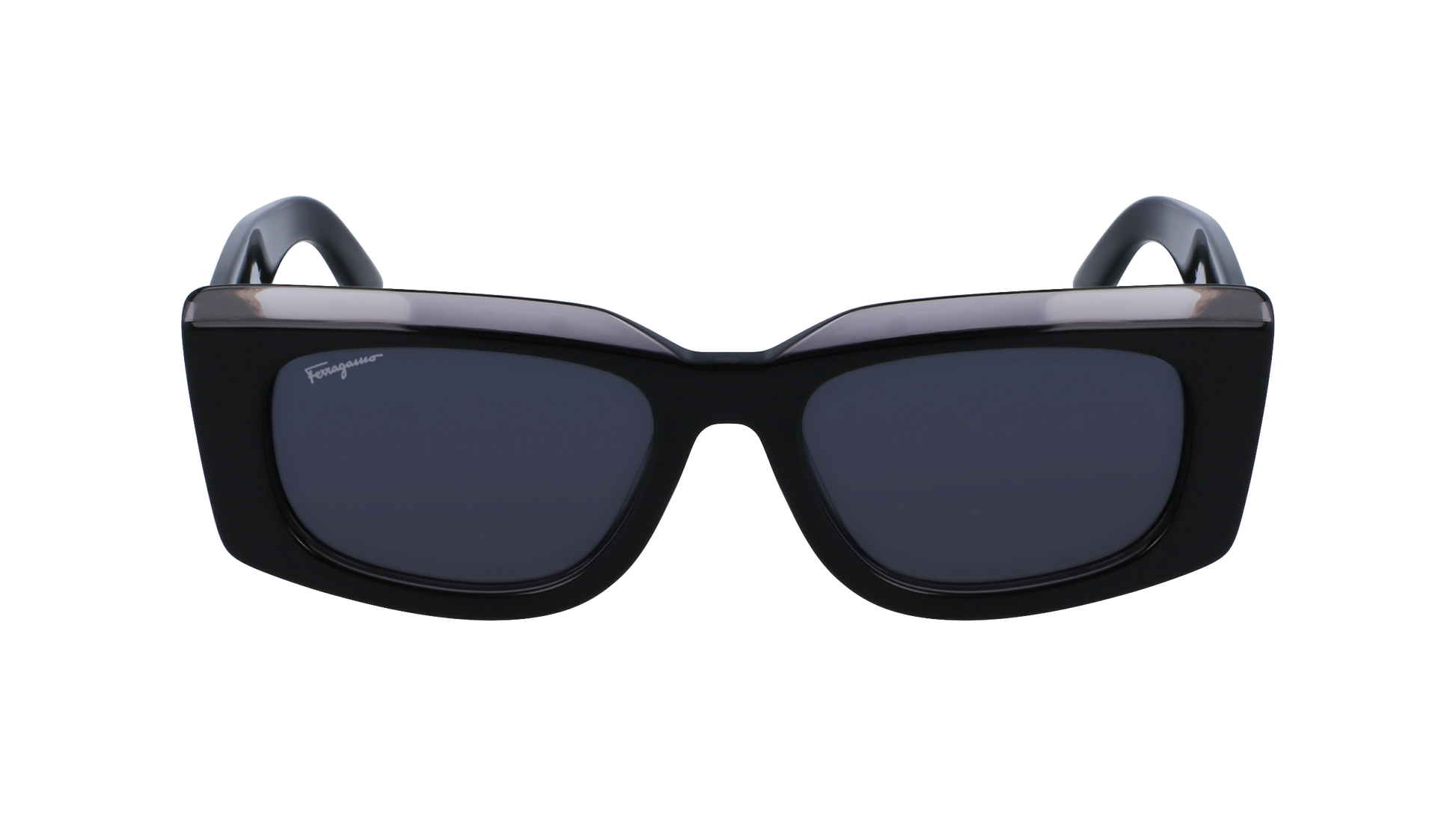 FERRAGAMO Sunglasses SF1079S 22 54