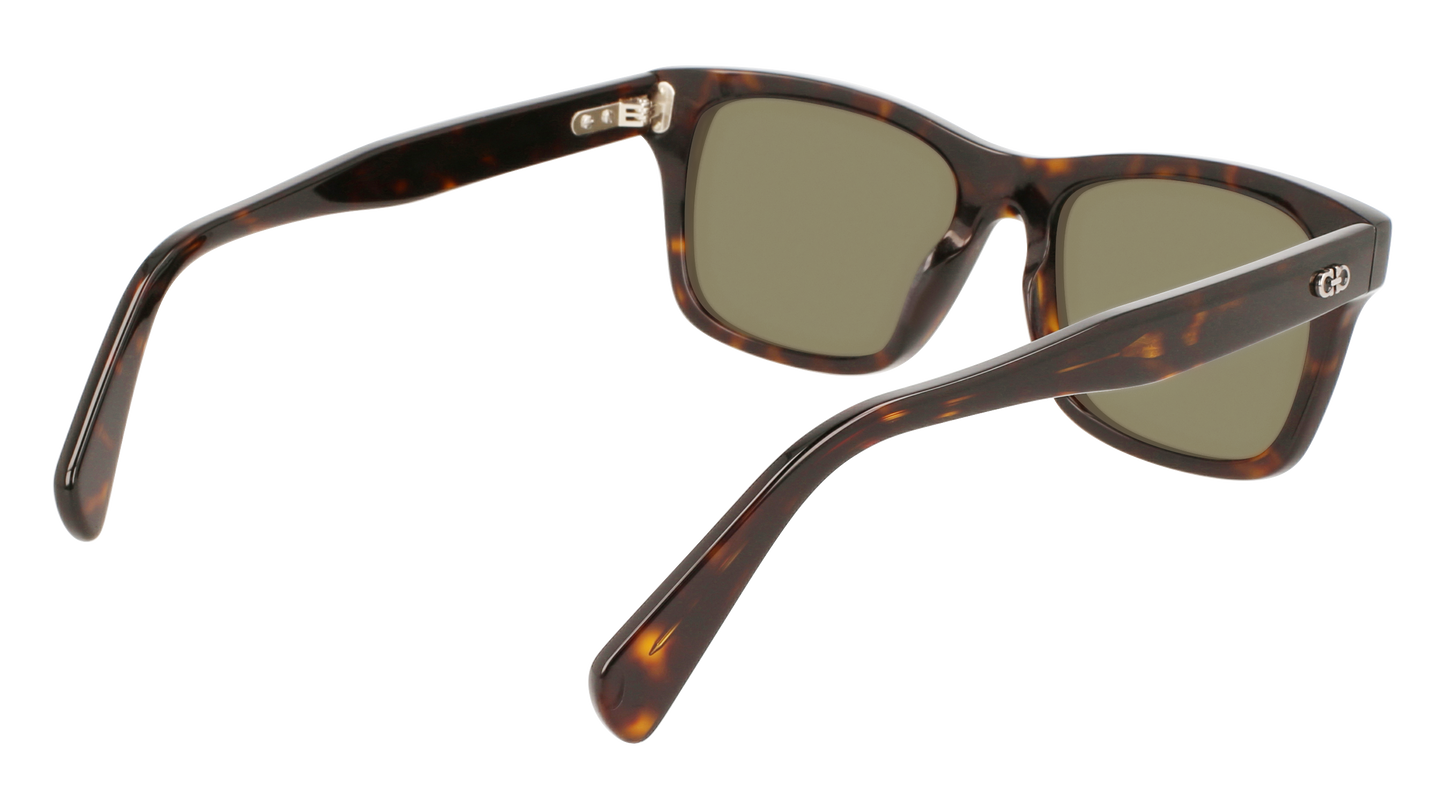 FERRAGAMO Sunglasses SF1039S 240 54