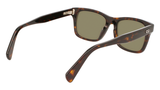 FERRAGAMO Sunglasses SF1039S 240 54