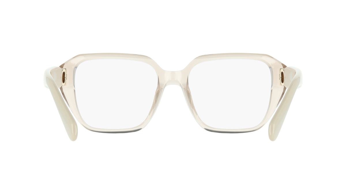 Ferragamo SF3073 260