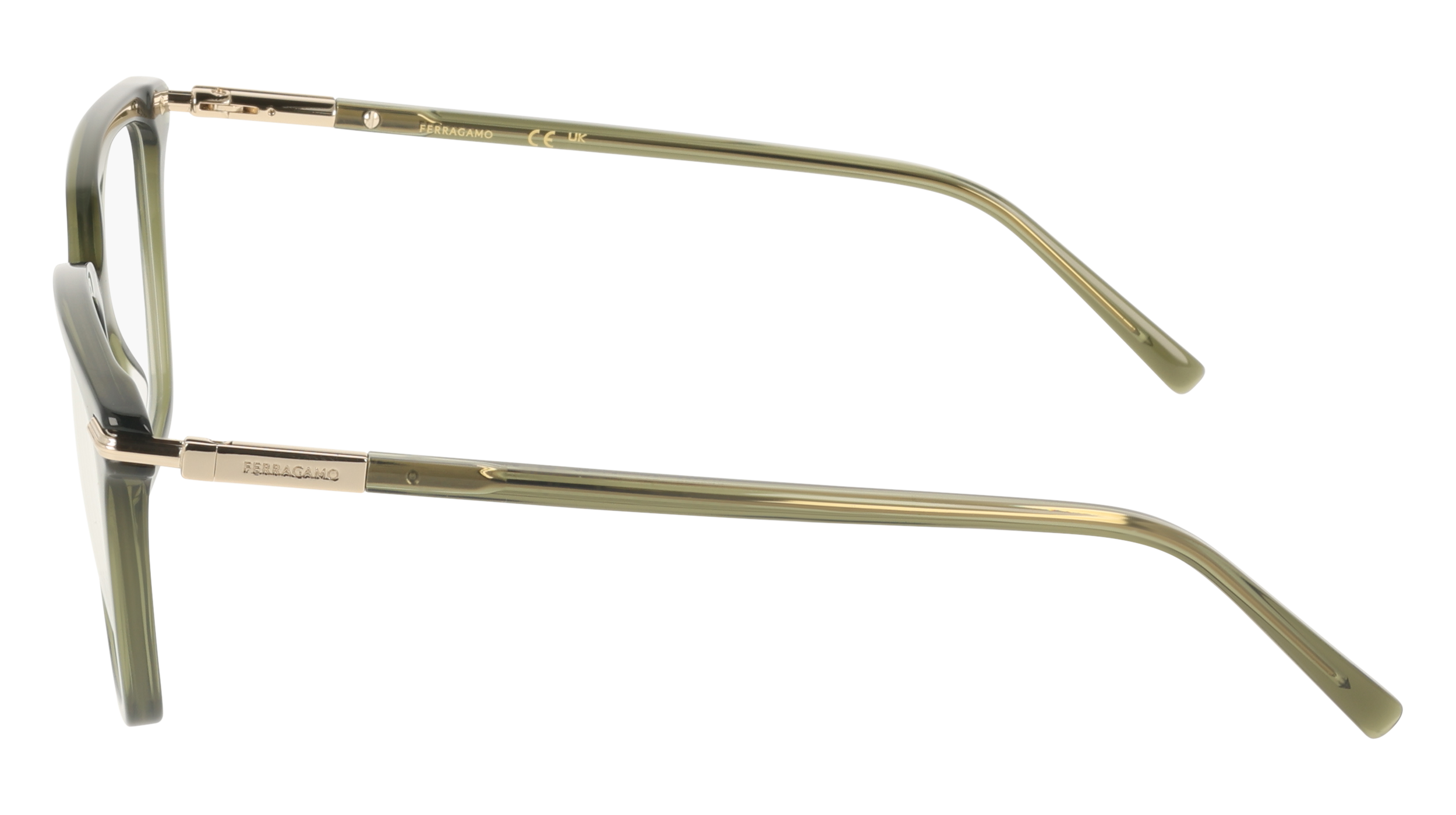 Ferragamo SF3038 317