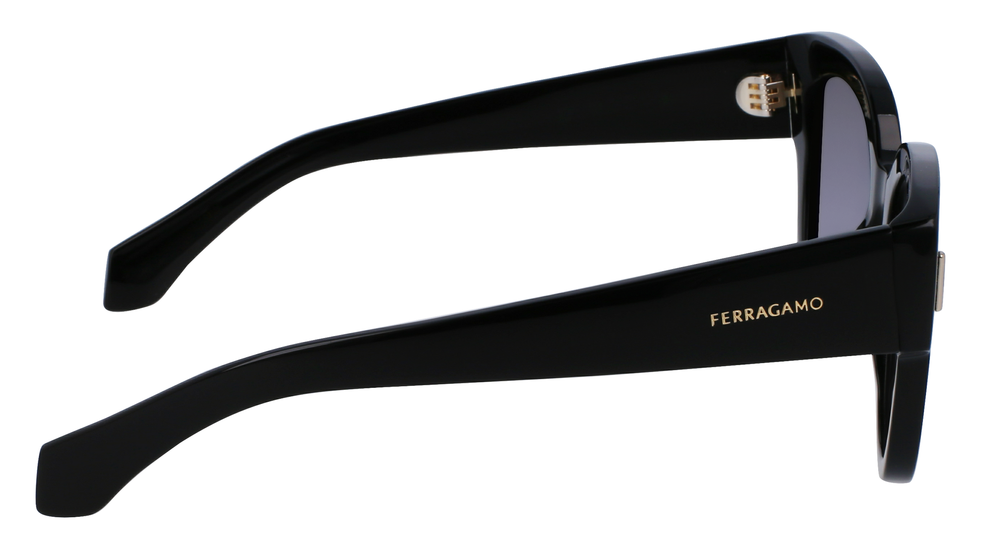 FERRAGAMO Sunglasses SF2007S 1 51