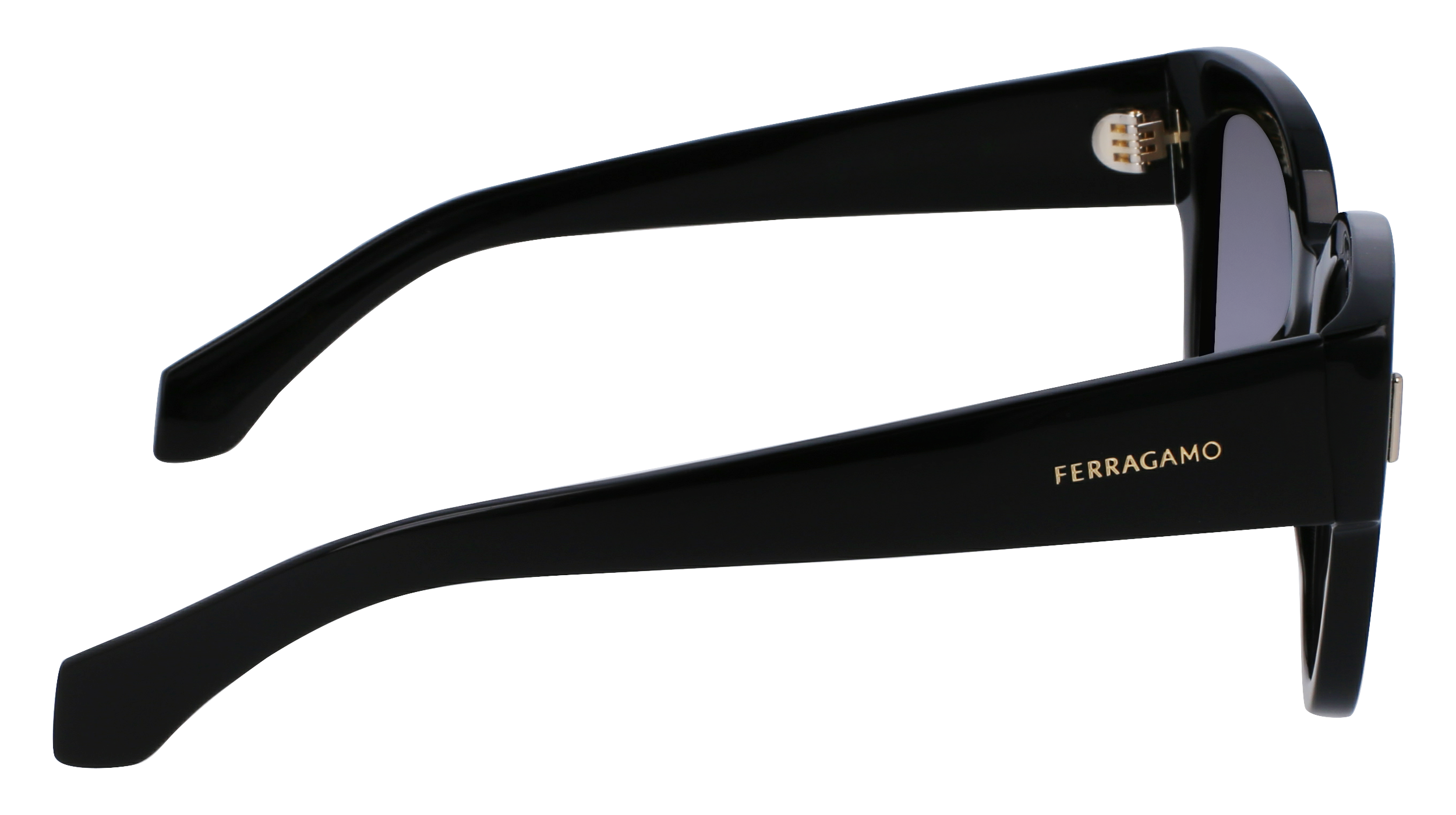 FERRAGAMO Sunglasses SF2007S 1 51