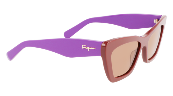 FERRAGAMO Sunglasses SF929S 209 55