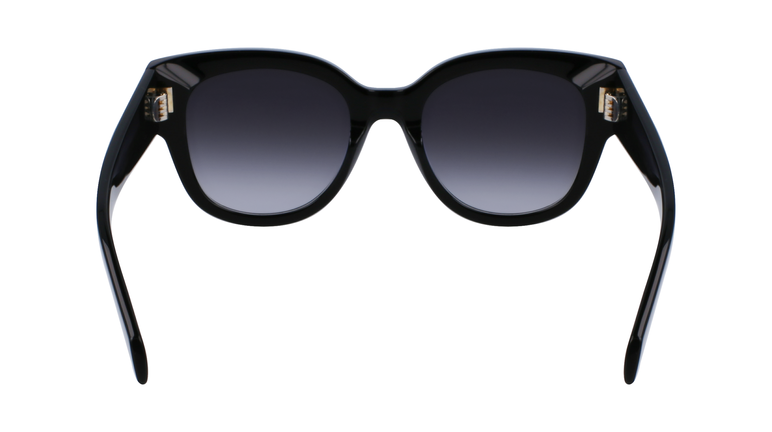 FERRAGAMO Sunglasses SF2007S 1 51