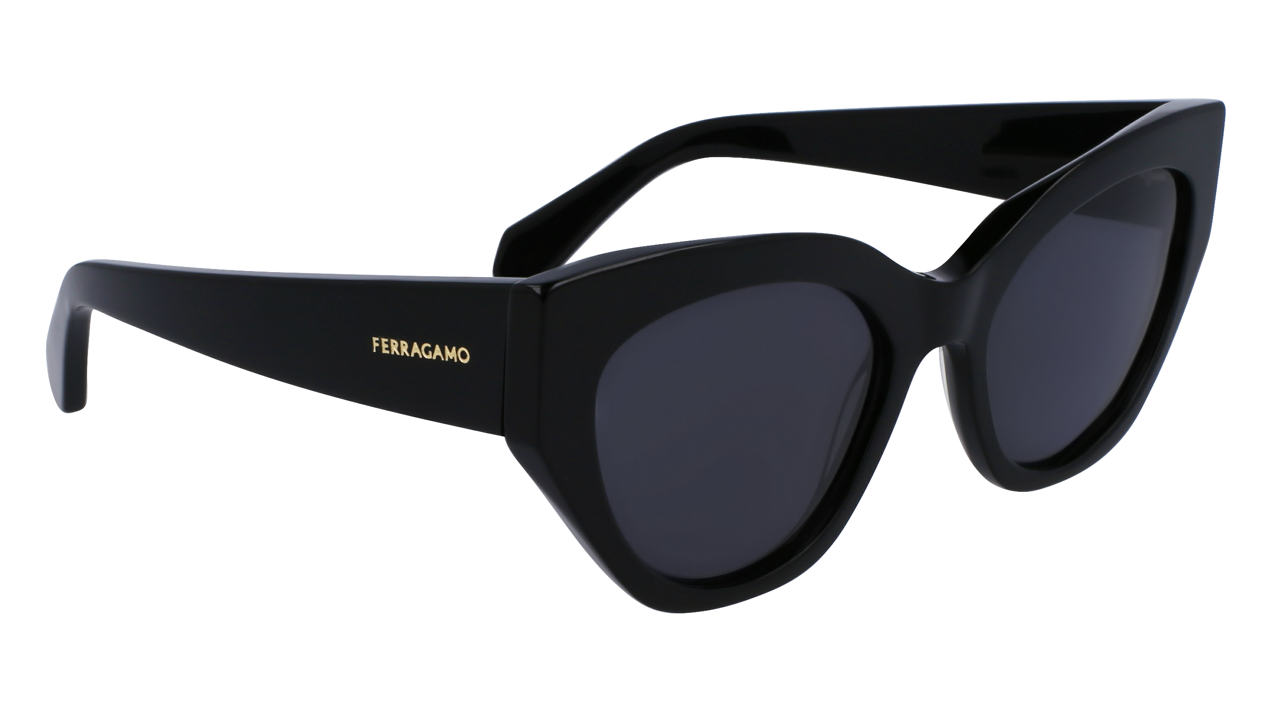 FERRAGAMO Sunglasses SF1107S 1 55