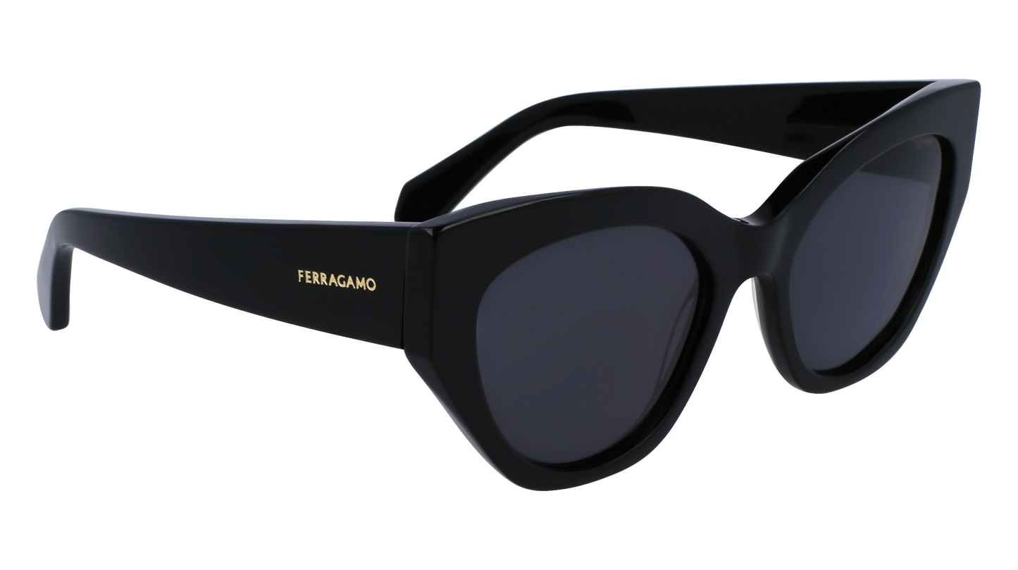 FERRAGAMO Sunglasses SF1107S 1 55