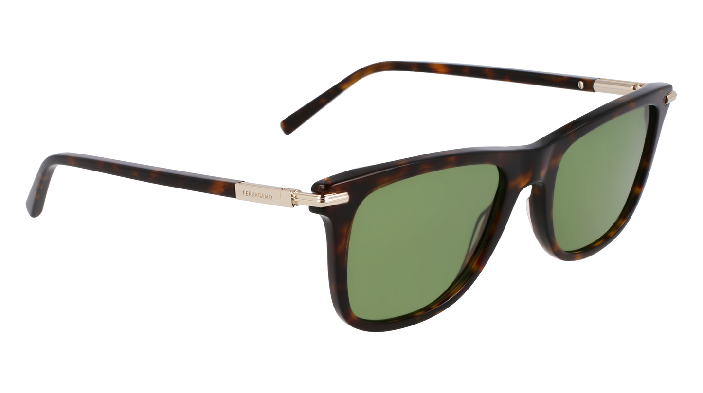 FERRAGAMO Sunglasses SF2028S 242 54