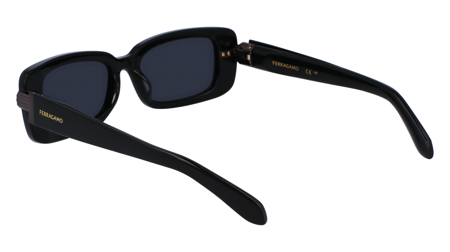 FERRAGAMO Sunglasses SF1105S 1 52