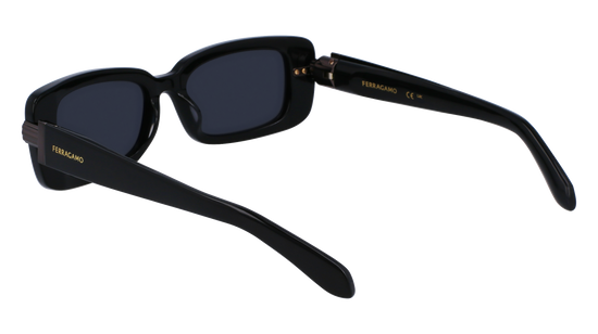 FERRAGAMO Sunglasses SF1105S 1 52