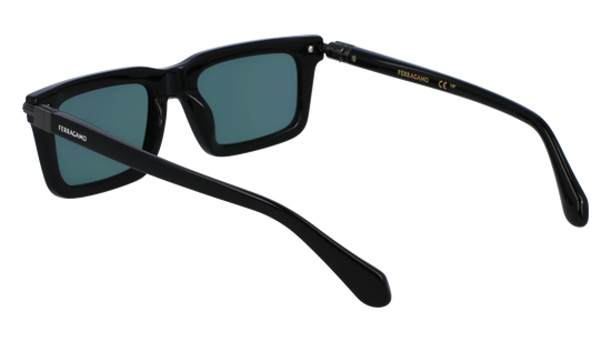 FERRAGAMO Sunglasses SF2015S 1 53