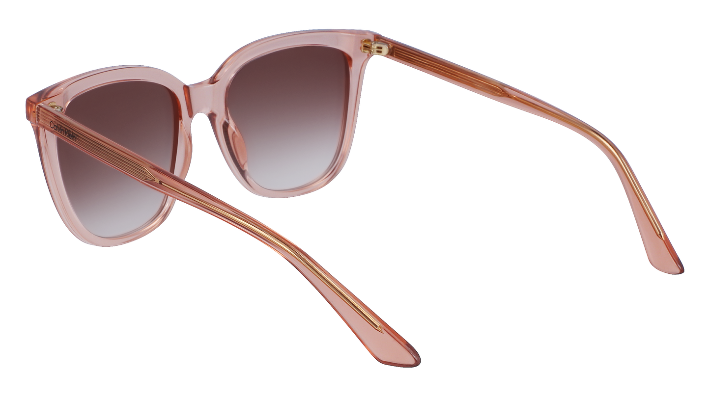 CALVIN KLEIN Sunglasses CK23506S 601 53