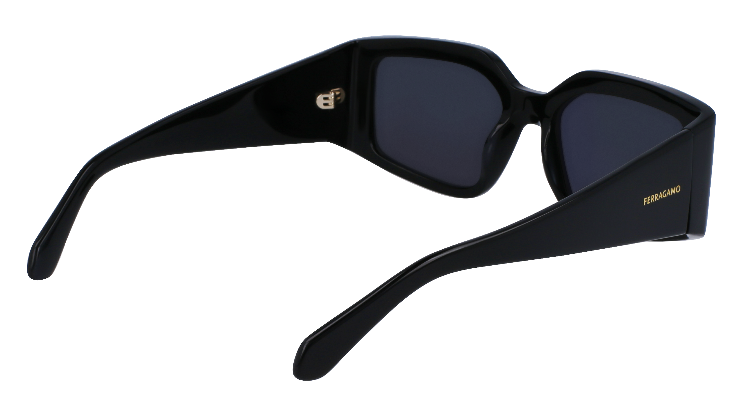 FERRAGAMO Sunglasses SF1101S 1 54