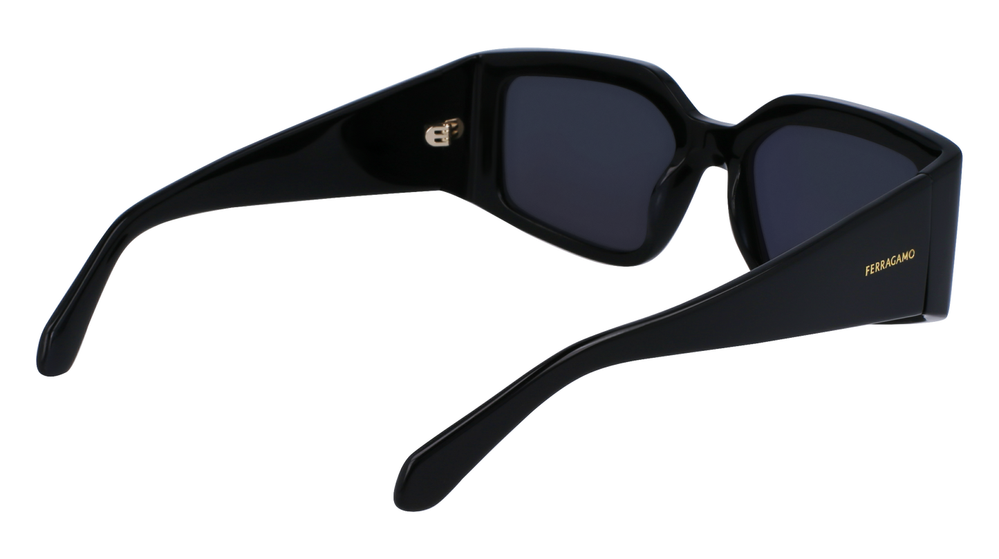 FERRAGAMO Sunglasses SF1101S 1 54