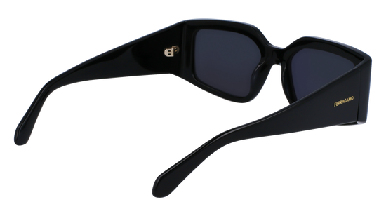 FERRAGAMO Sunglasses SF1101S 1 54