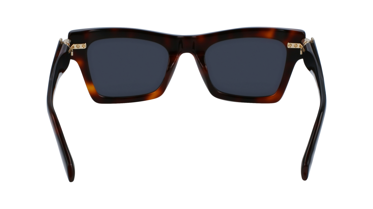 FERRAGAMO Sunglasses SF2013S 240 52