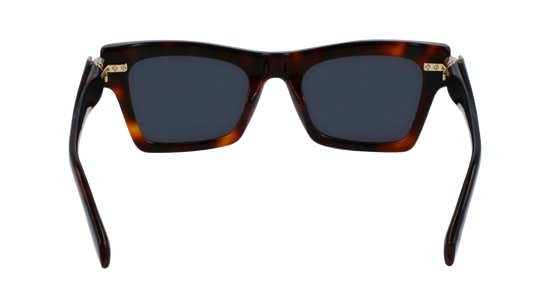 FERRAGAMO Sunglasses SF2013S 240 52