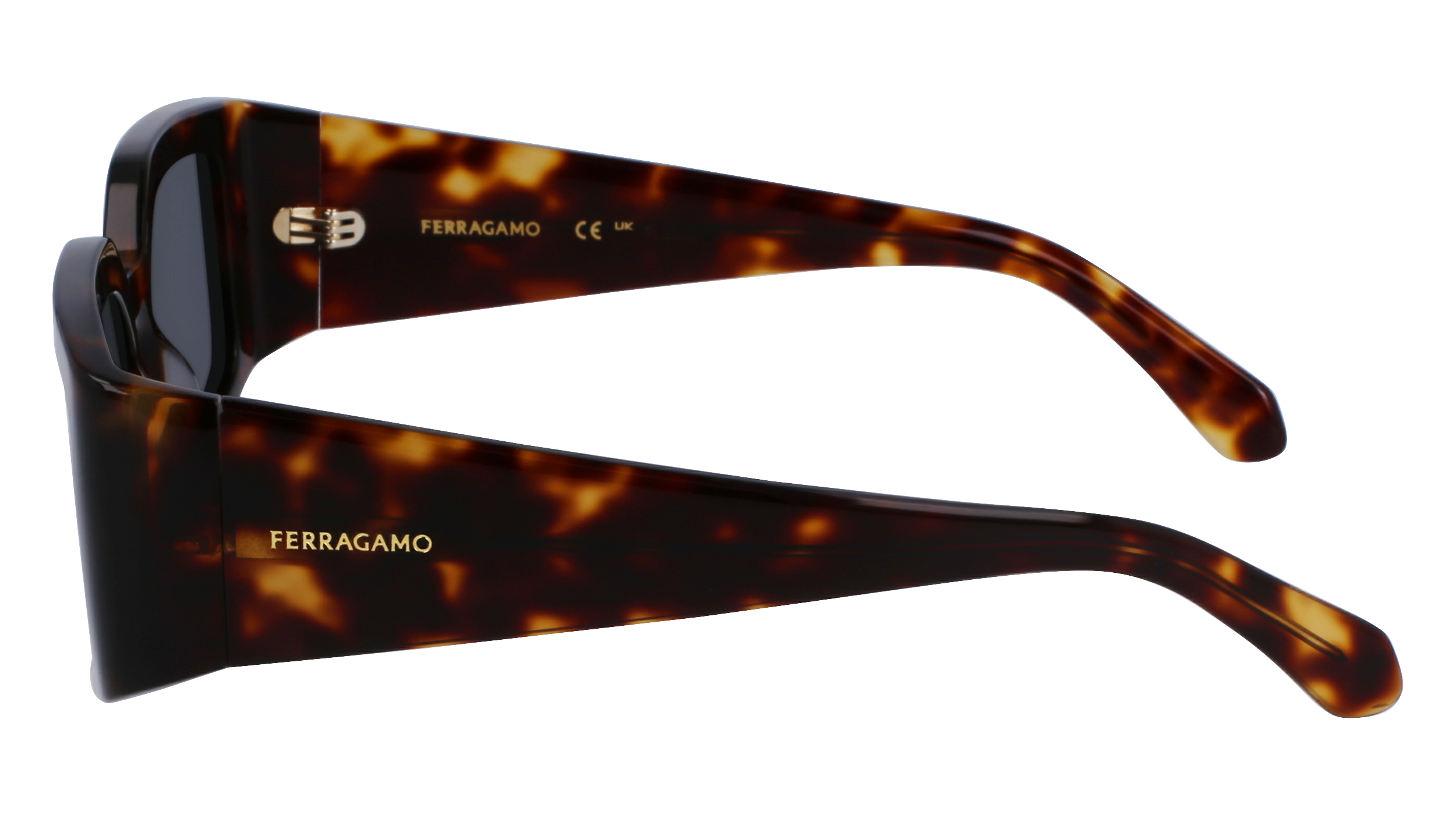 FERRAGAMO Sunglasses SF1101S 242 54