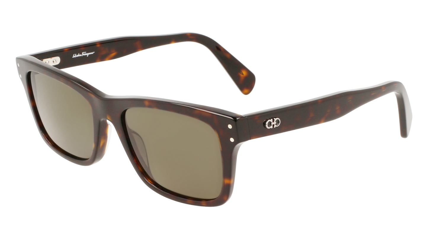 FERRAGAMO Sunglasses SF1039S 240 54