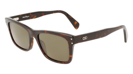 FERRAGAMO Sunglasses SF1039S 240 54