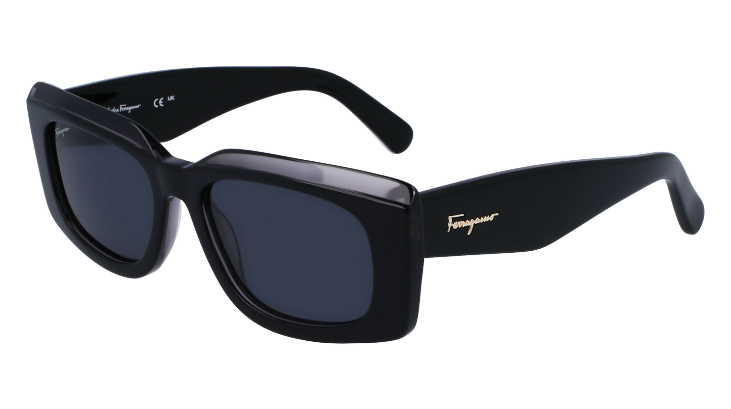 FERRAGAMO Sunglasses SF1079S 22 54