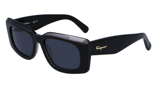 FERRAGAMO Sunglasses SF1079S 22 54