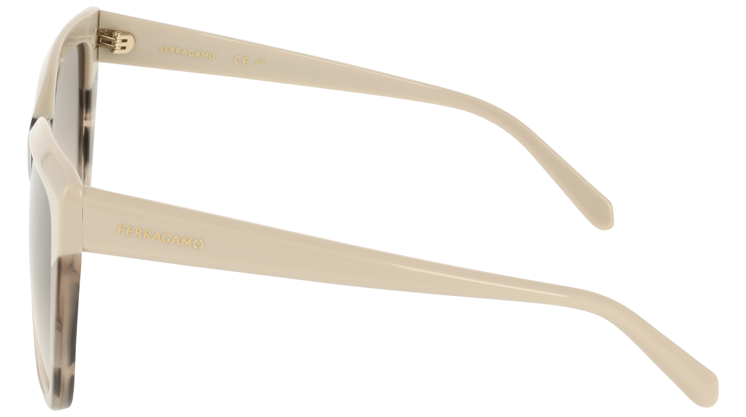 Ferragamo SF1102S 251