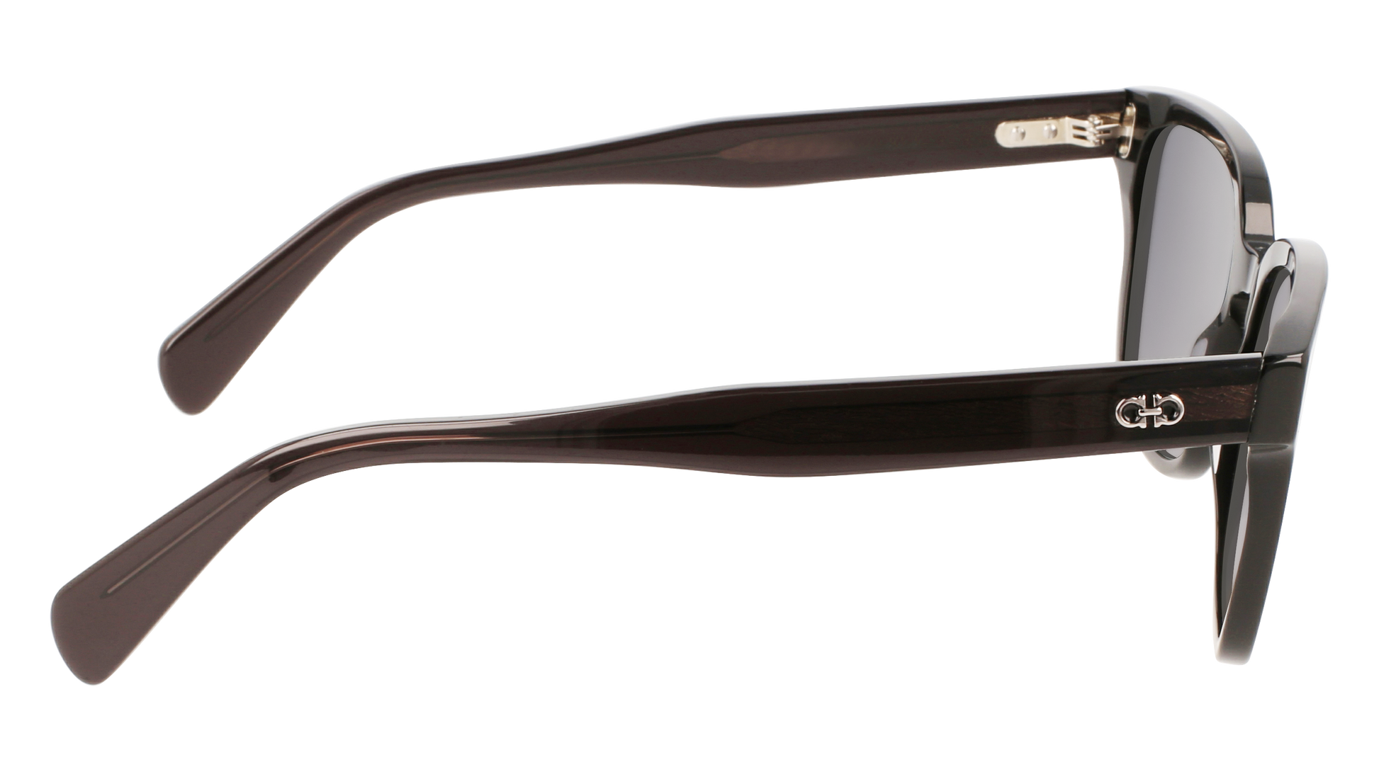 FERRAGAMO Sunglasses SF1040S 1 55