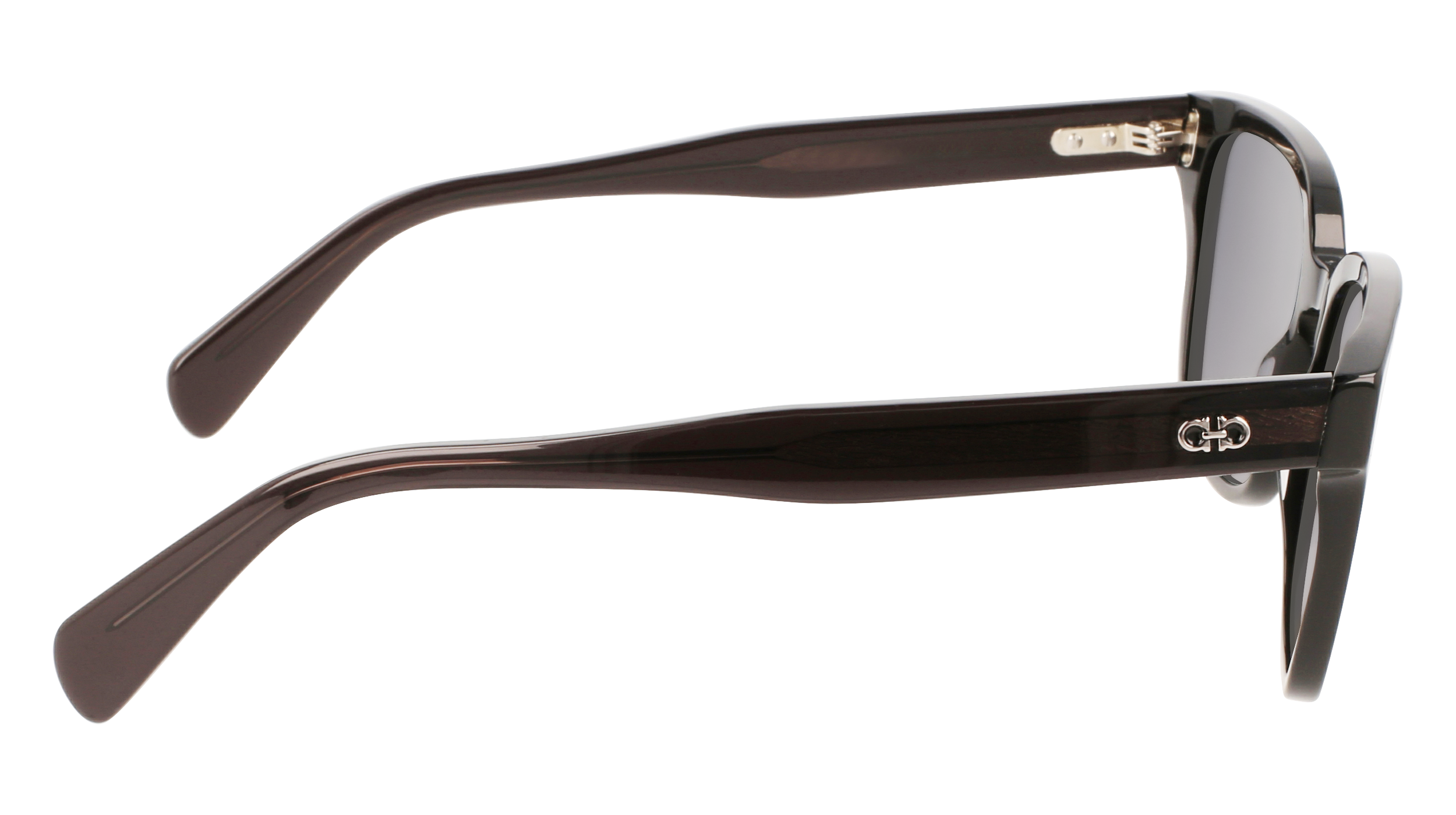 FERRAGAMO Sunglasses SF1040S 1 55