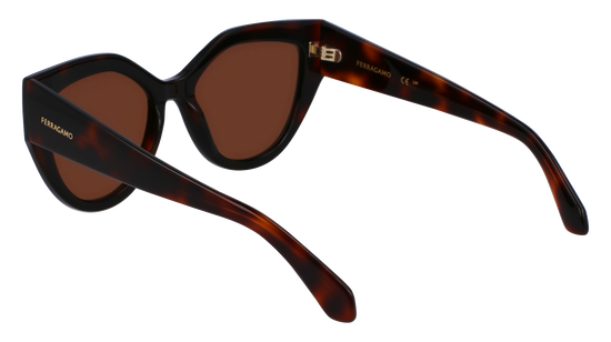 FERRAGAMO Sunglasses SF2004S 241 53