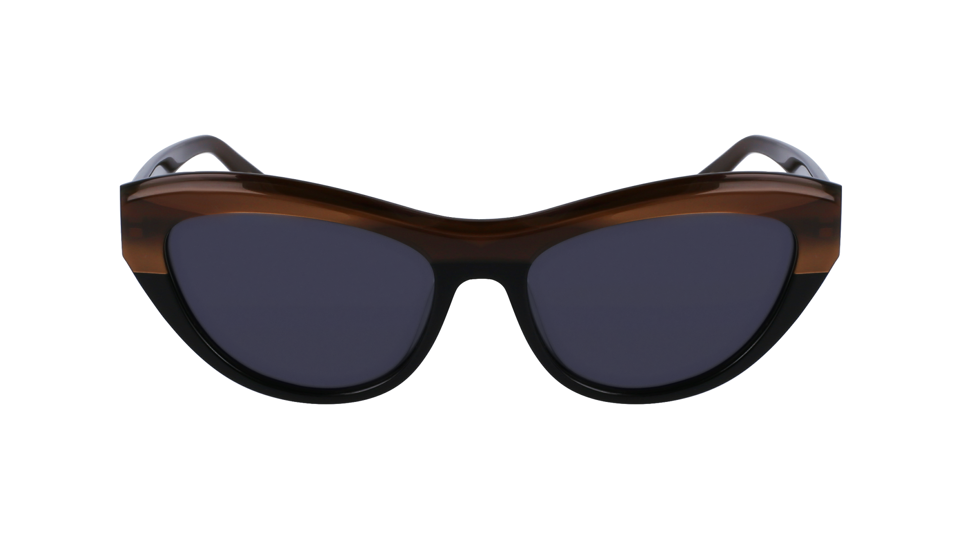 FERRAGAMO Sunglasses SF1103S 217 55