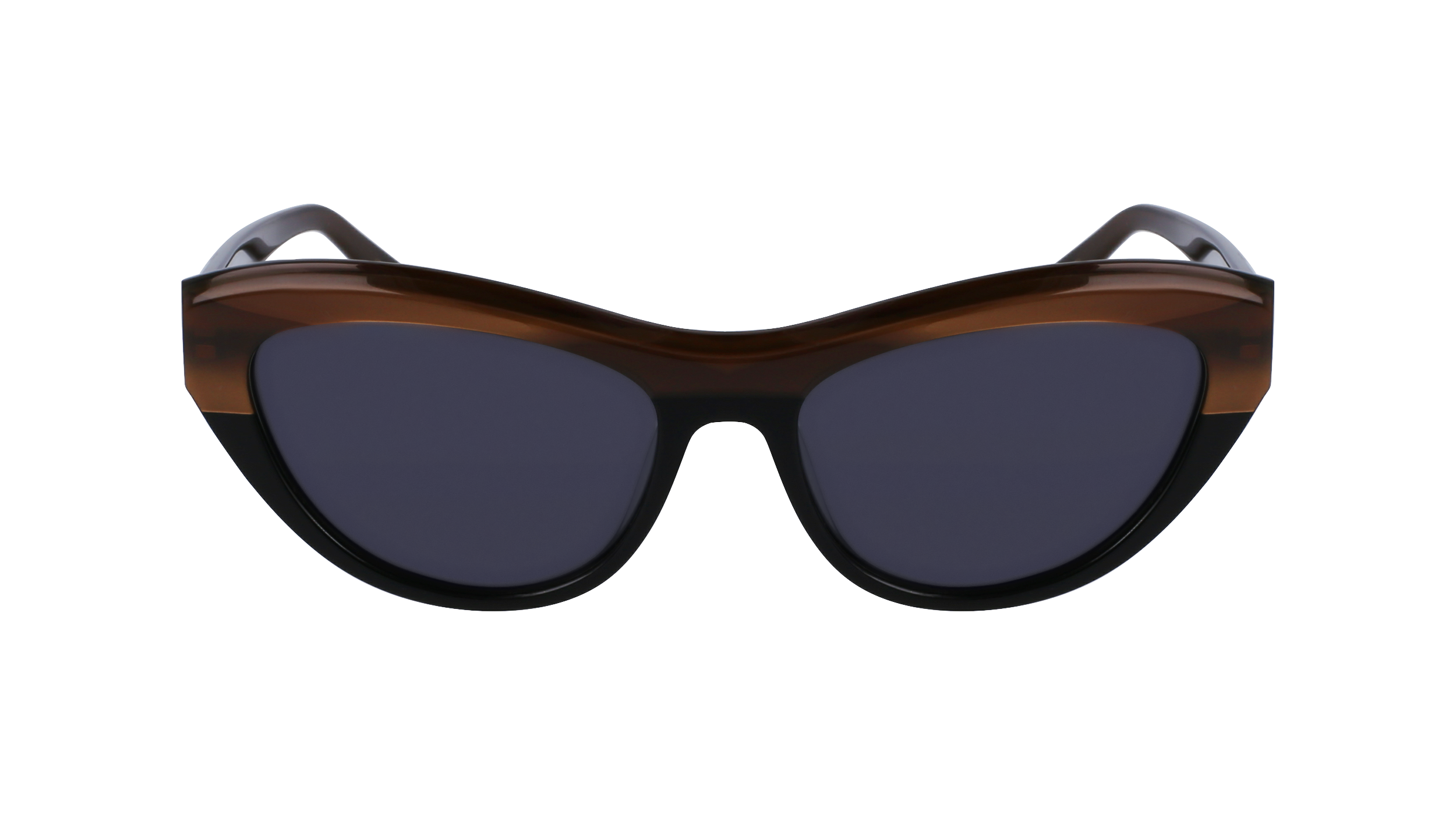 FERRAGAMO Sunglasses SF1103S 217 55