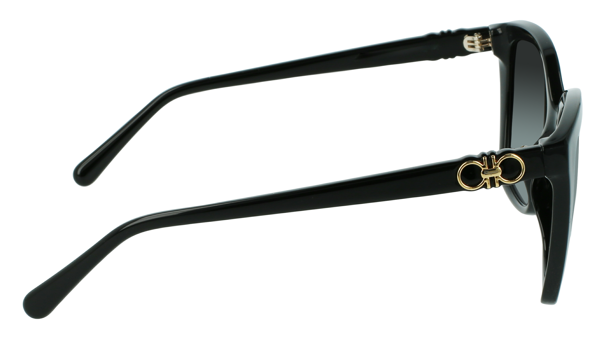 FERRAGAMO Sunglasses SF1026S 1 54