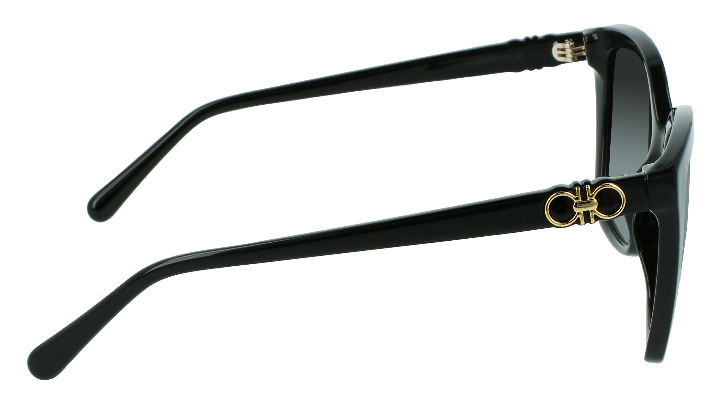 FERRAGAMO Sunglasses SF1026S 1 54