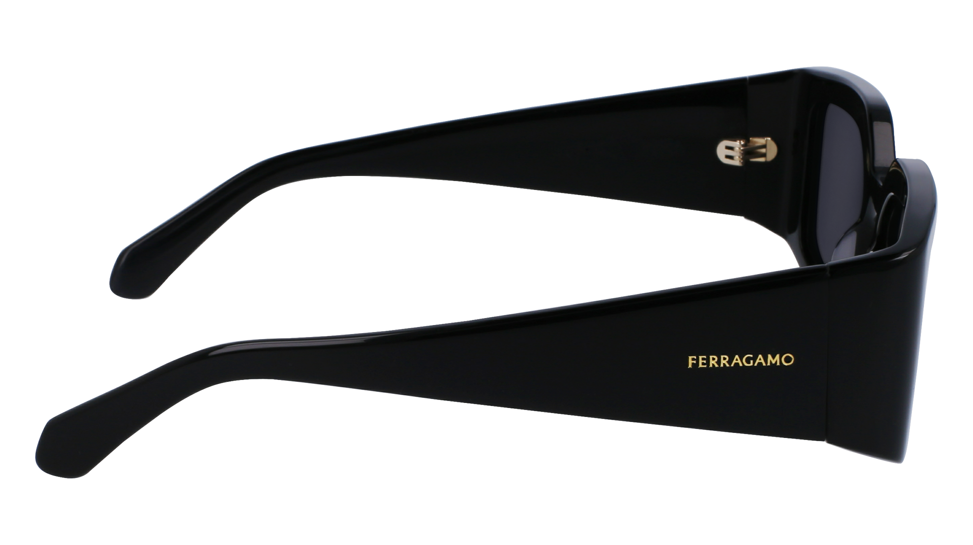 FERRAGAMO Sunglasses SF1101S 1 54