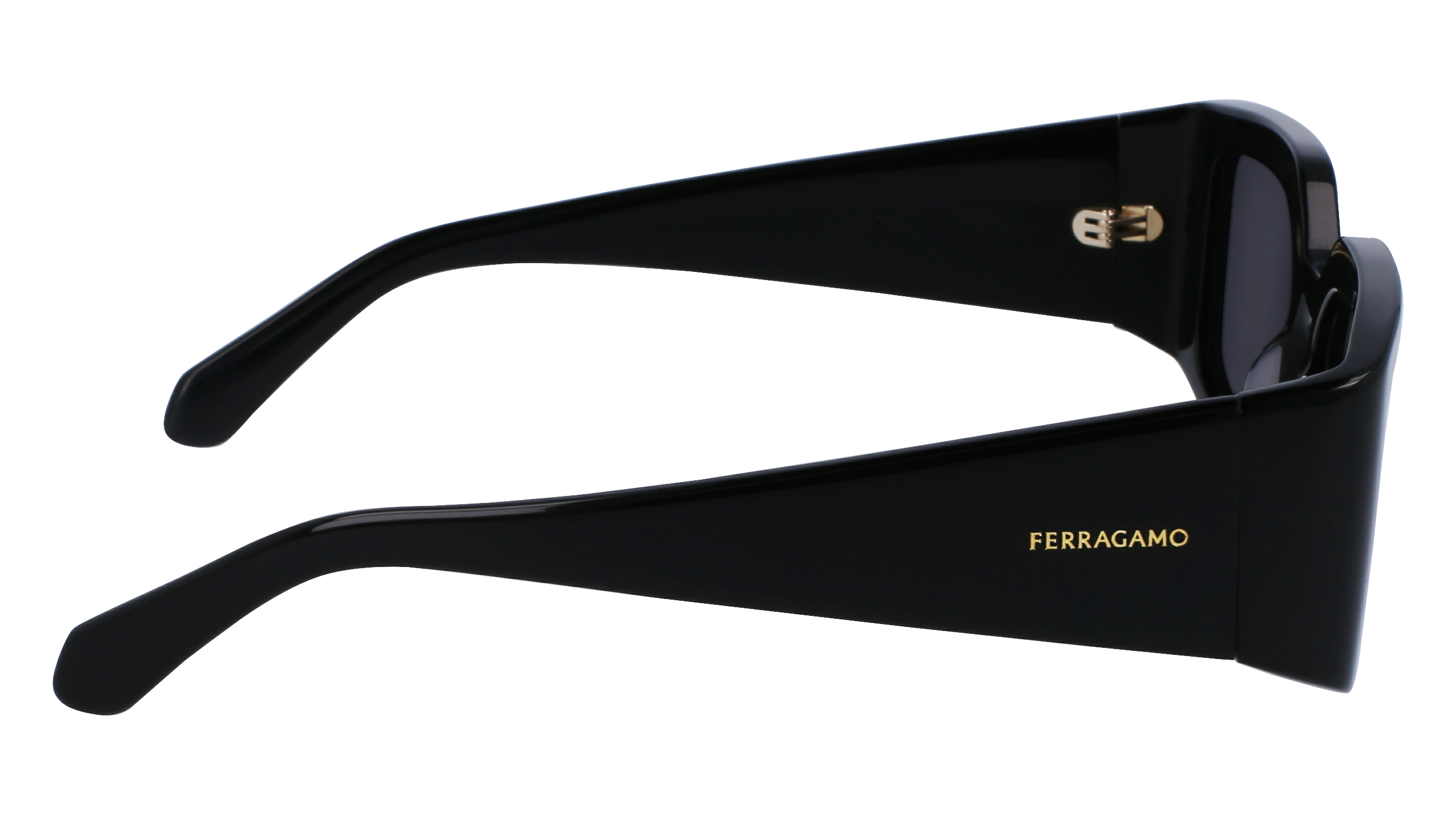FERRAGAMO Sunglasses SF1101S 1 54