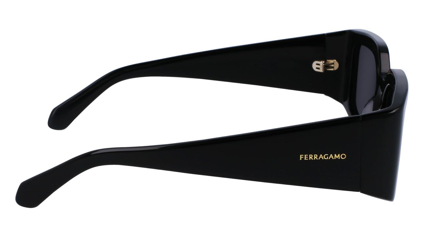 FERRAGAMO Sunglasses SF1101S 1 54