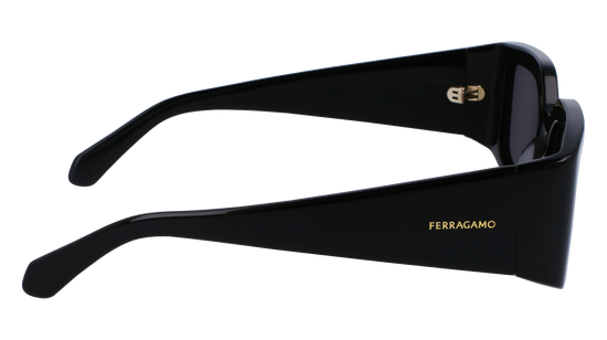 FERRAGAMO Sunglasses SF1101S 1 54