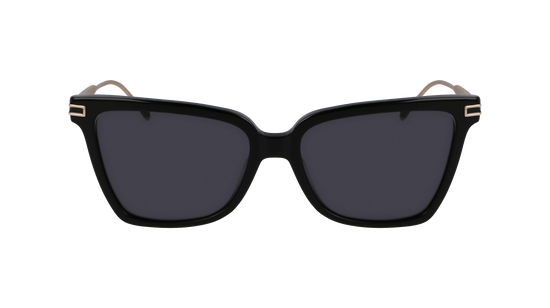 FERRAGAMO Sunglasses SF2036S 1 56