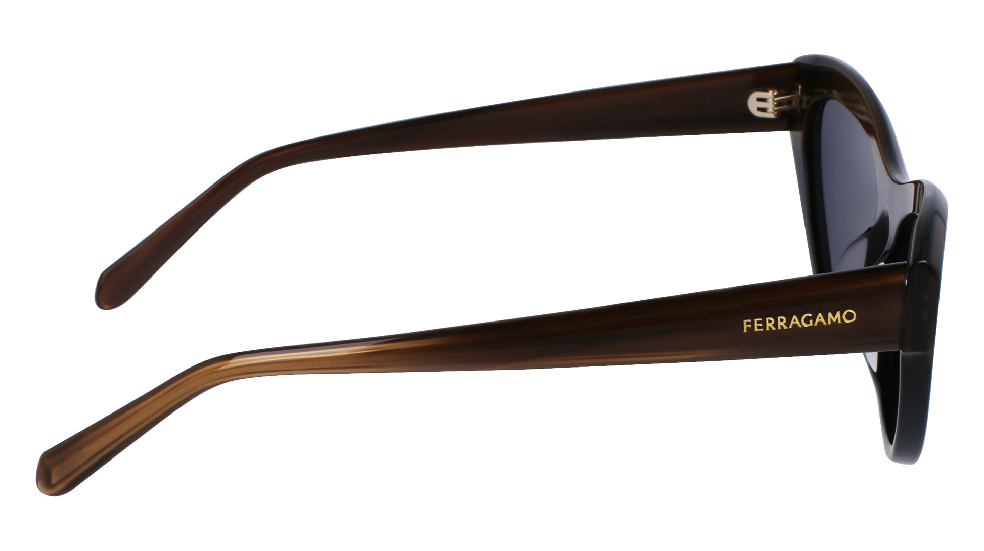 FERRAGAMO Sunglasses SF1103S 217 55