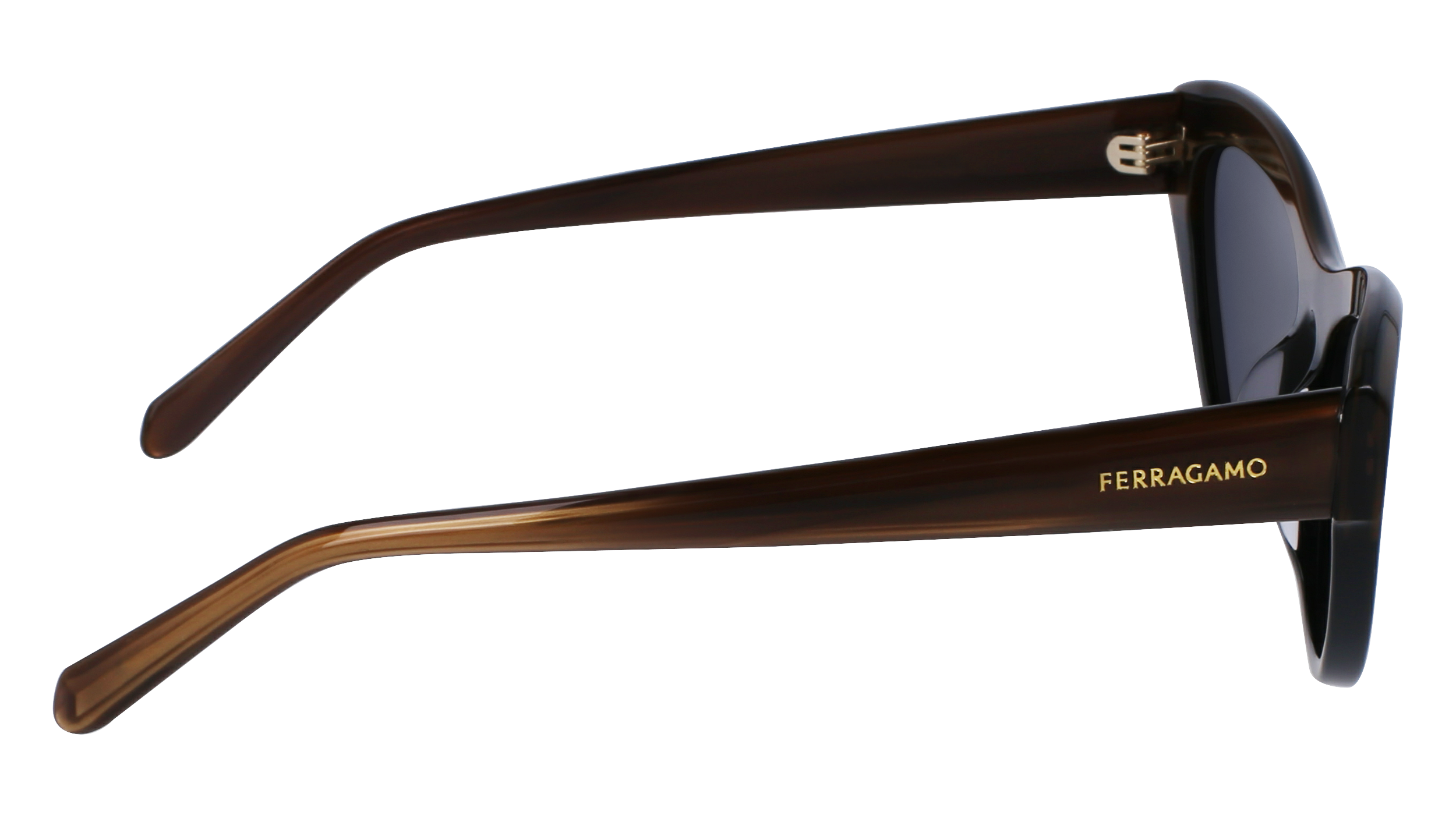FERRAGAMO Sunglasses SF1103S 217 55