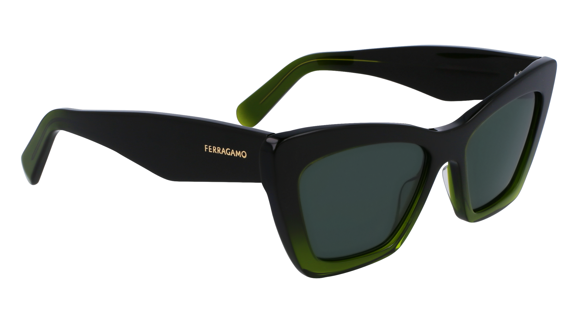 FERRAGAMO Sunglasses SF929SN 316 55