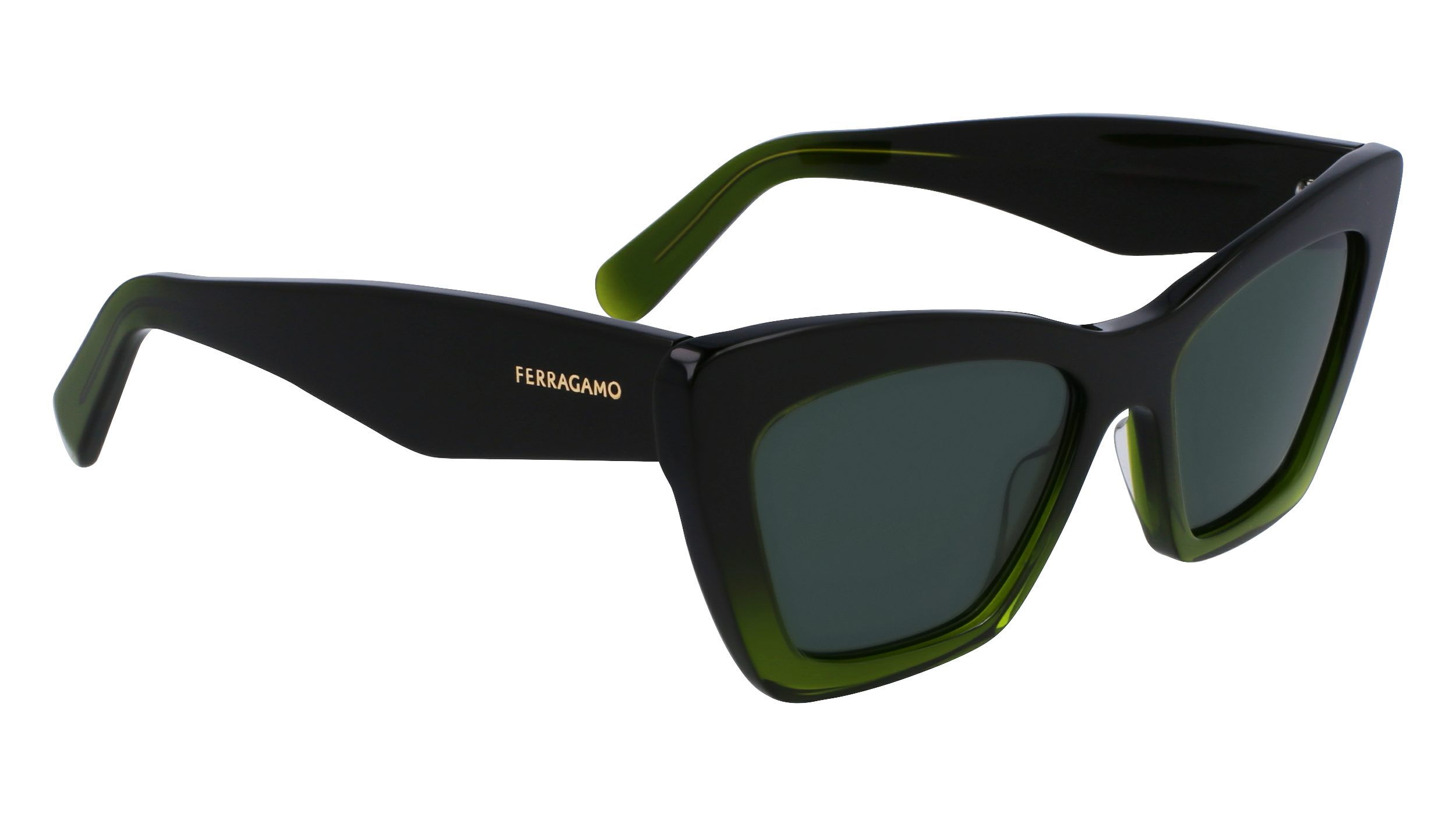 FERRAGAMO Sunglasses SF929SN 316 55