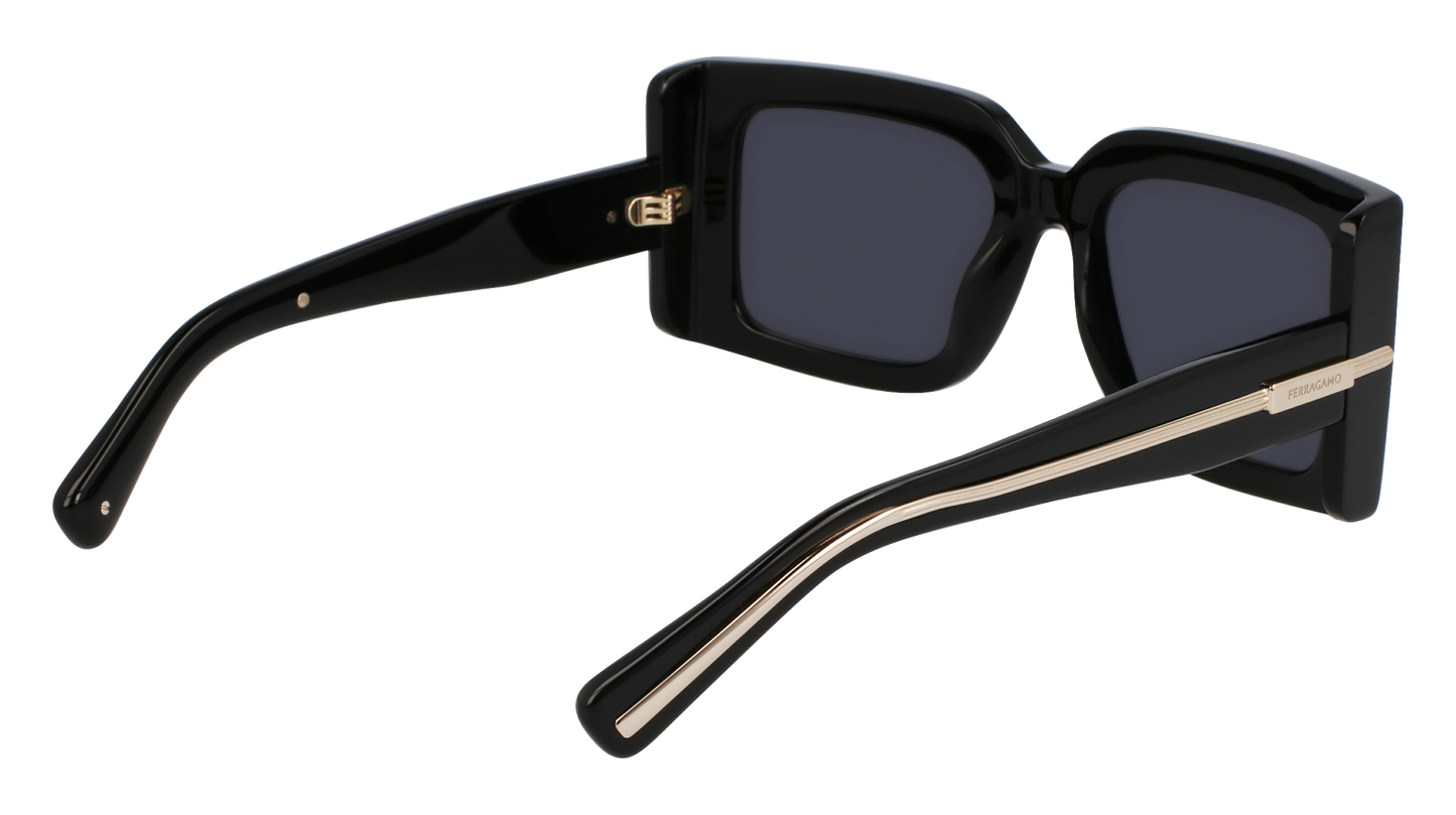 FERRAGAMO Sunglasses SF2032S 1 55