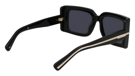 FERRAGAMO Sunglasses SF2032S 1 55