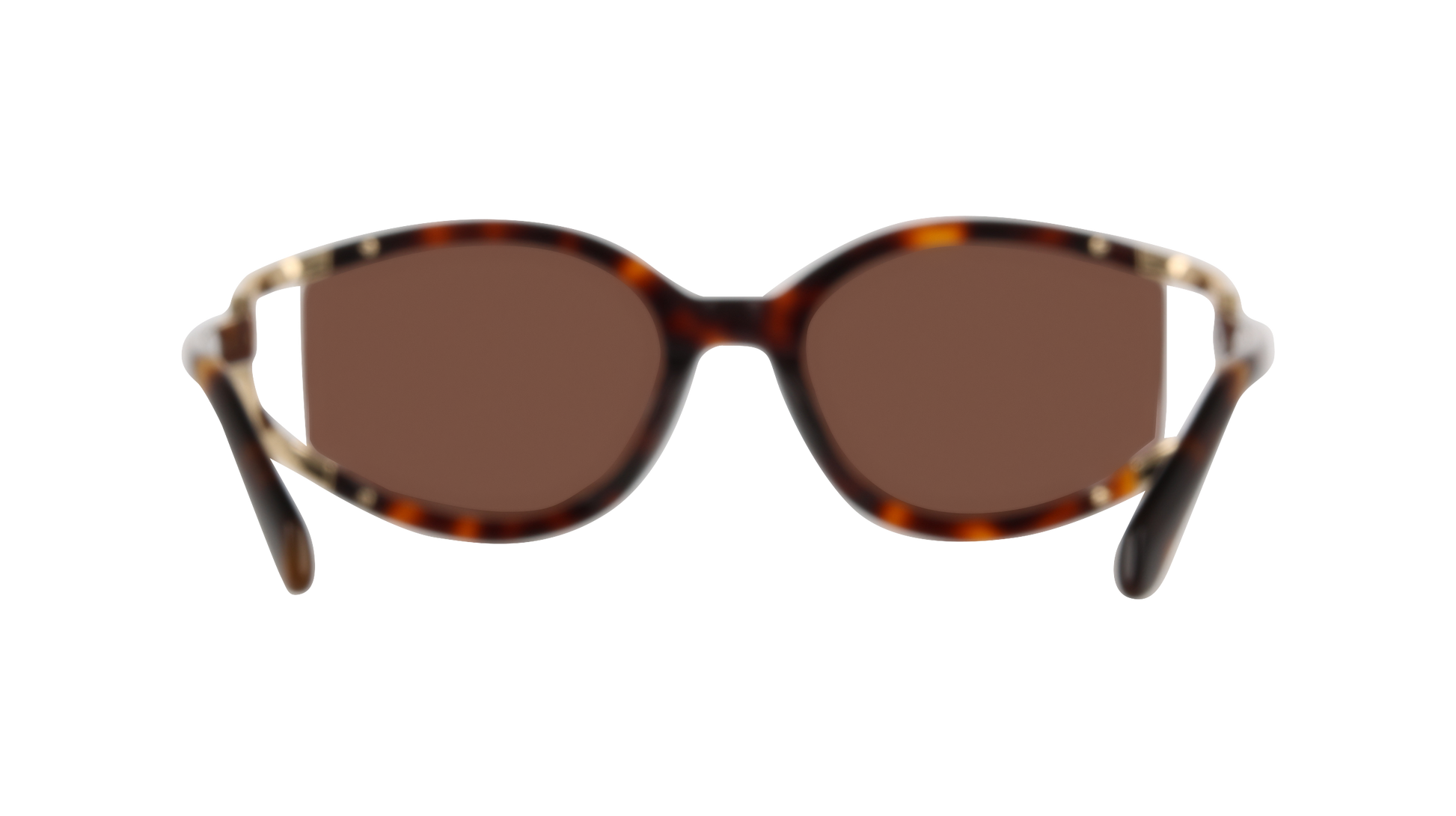 Ferragamo SF2111S 240